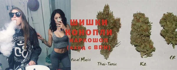 PSILOCYBIN Алексин