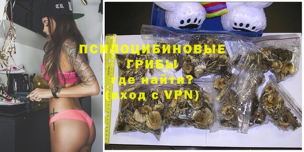 PSILOCYBIN Алексин