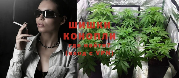 сатива Алексеевка