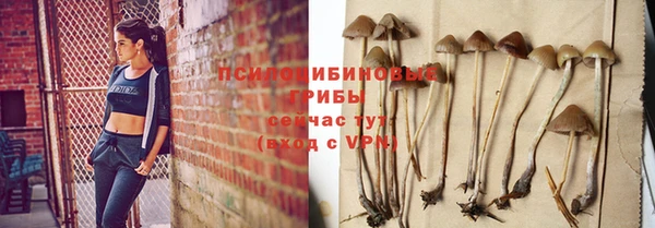 PSILOCYBIN Алексин